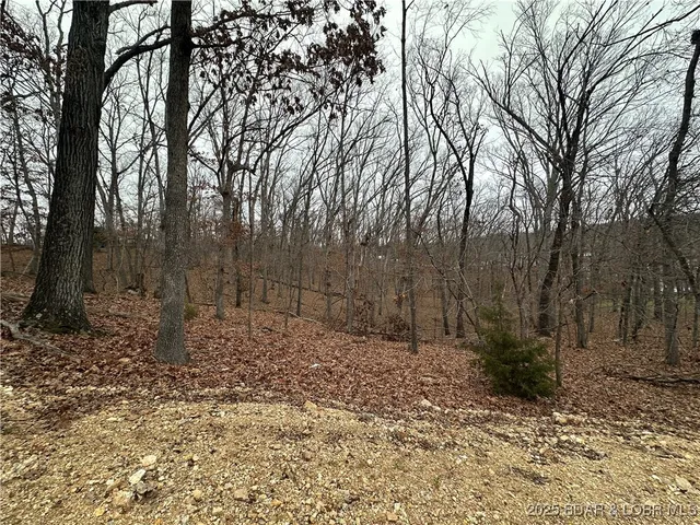 $9,000 | Lot 371 Cornette Cove Lake, Unit 2, Lake Ozark, MO 65049