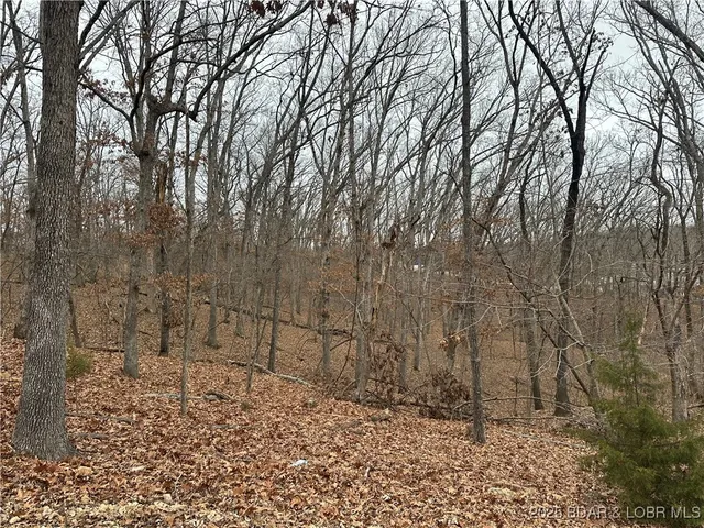 $9,000 | Lot 371 Cornette Cove Lake, Unit 2, Lake Ozark, MO 65049