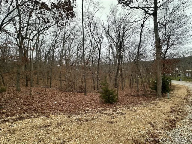 $9,000 | Lot 371 Cornette Cove Lake, Unit 2, Lake Ozark, MO 65049