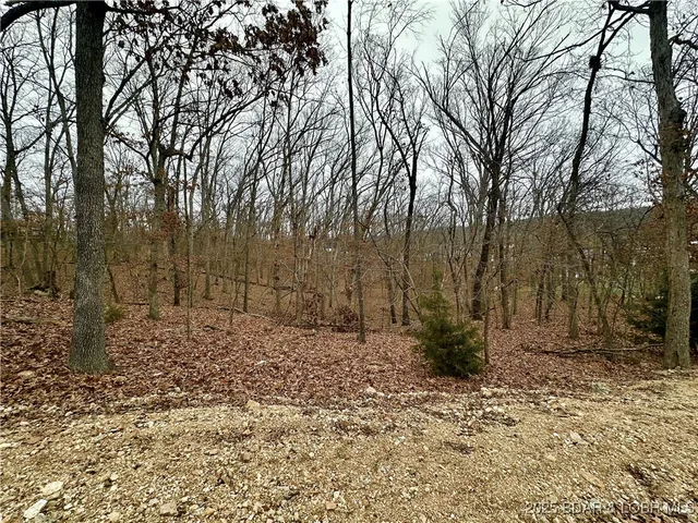 $9,000 | Lot 371 Cornette Cove Lake, Unit 2, Lake Ozark, MO 65049