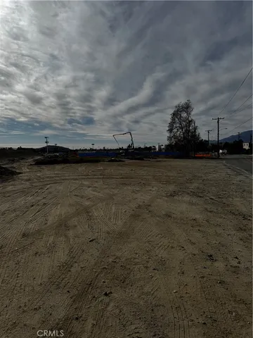 a view of road with large trees