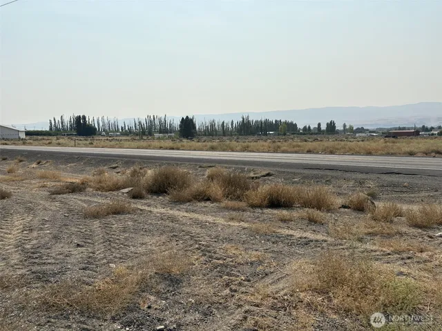 a black and white photo of a back yard