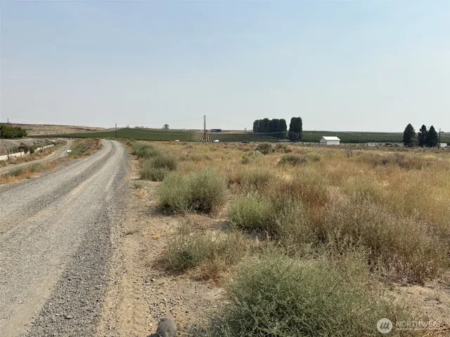 a view of an ocean beach