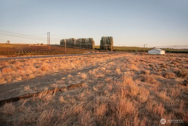 a view of a dry yard with wooden fence