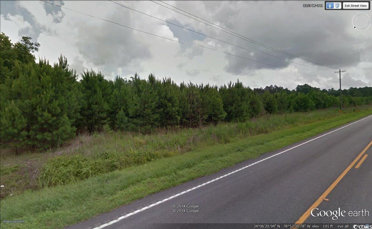 701 NORTH Loris Sc 29569 Loris, SC 29569 - Photo 4 of 10 View of street with a wooded view