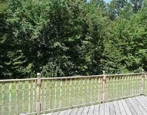 18232 Cedar Romulus, MI 48174 - Photo 6 of 6 713170-5.JPG