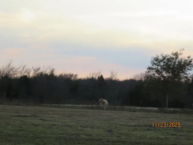 $749,900 | 1780 County Road 4109, Campbell, TX 75422