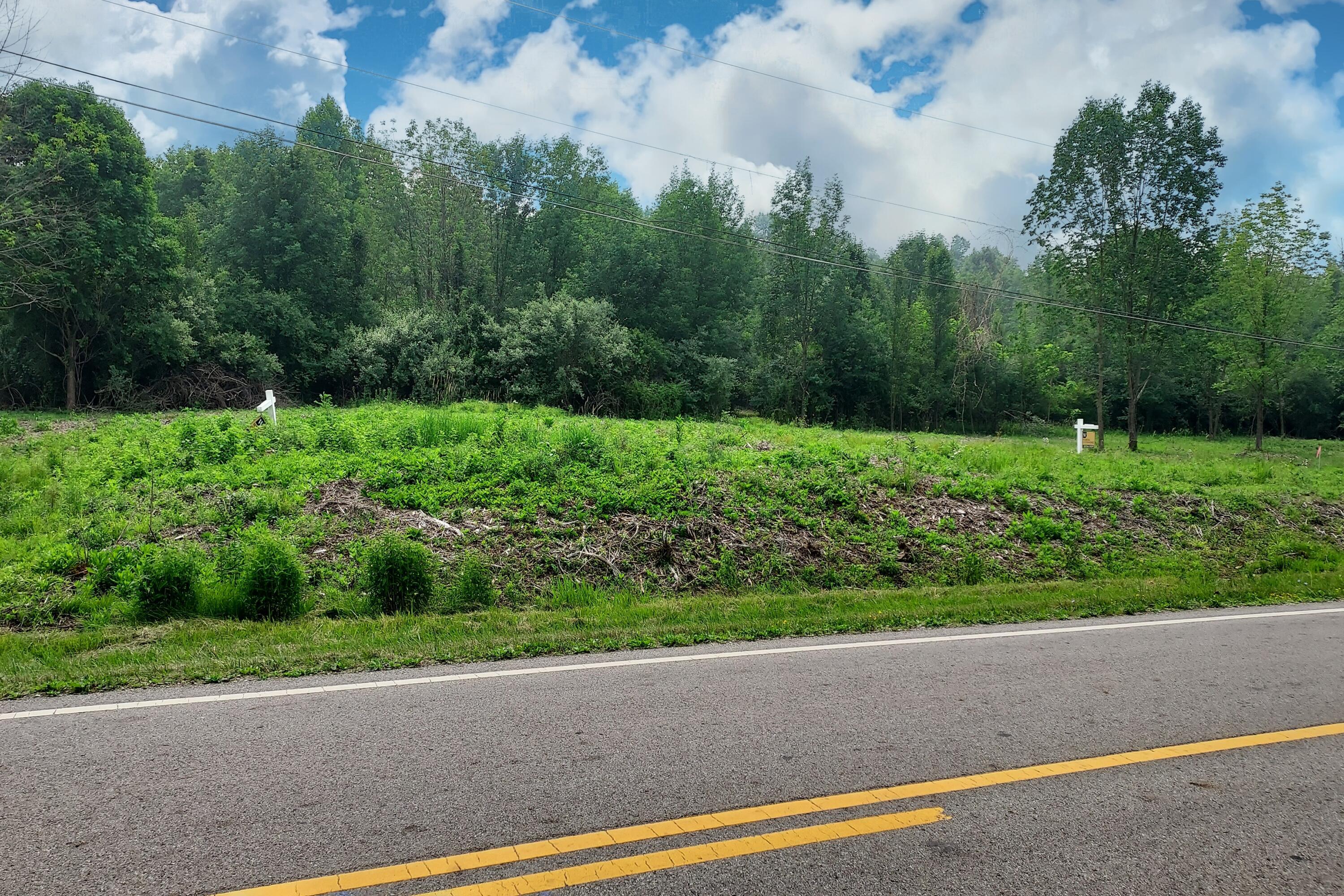 5547 Red Bank Road, Unit TRACT B Galena, OH 43021 - Photo 10 of 24 10. Street View