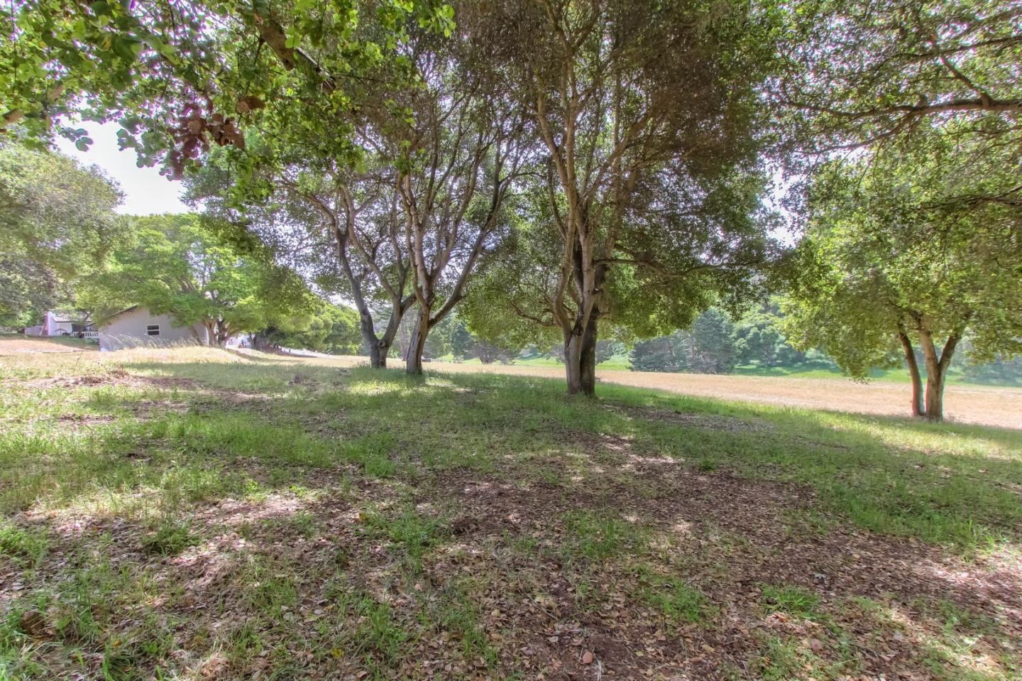 17596 Cross Road Salinas, CA 93907 - Photo 6 of 33 Gallery Image 6