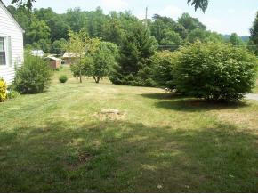 151 Warren Street Fall Branch, TN 37656 - Photo 8 of 9 Photo 8