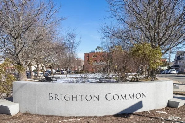 a view of a park with trees