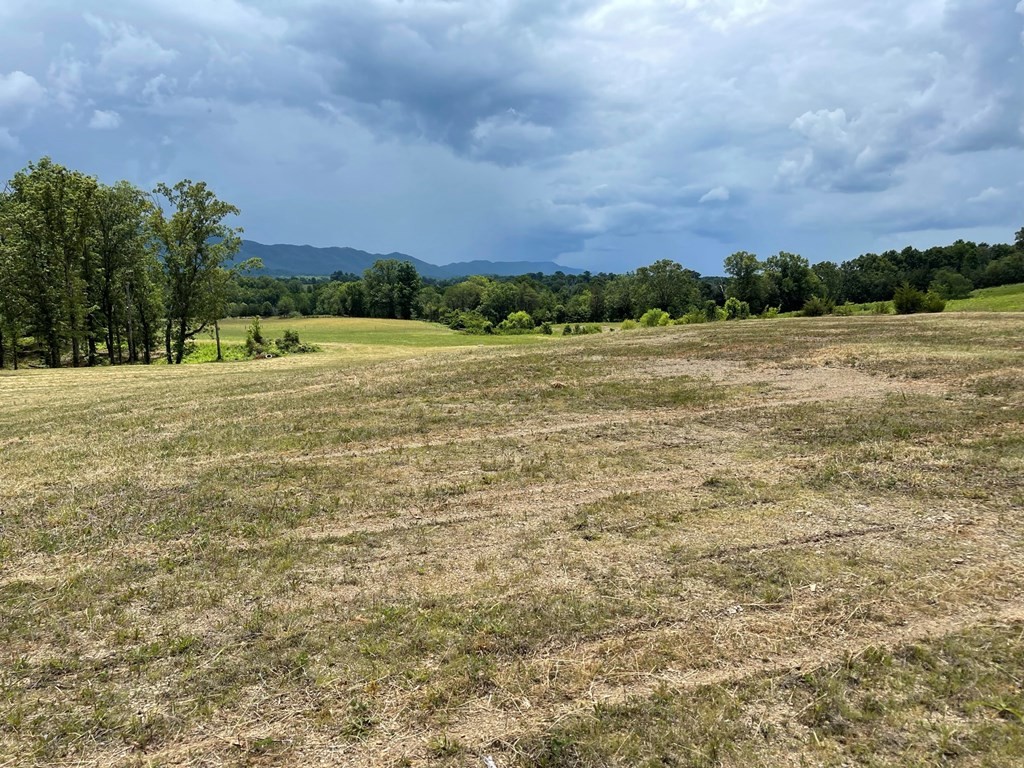 0 Keener Road Seymour, TN 37865 - Photo 16 of 16 Gallery Image 16