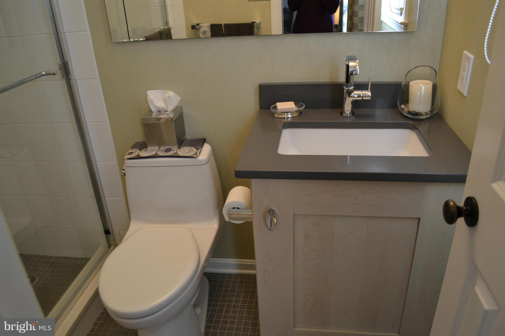 1103 Valewood Road Baltimore, MD 21286 - Photo 26 of 30 Bath (Master)