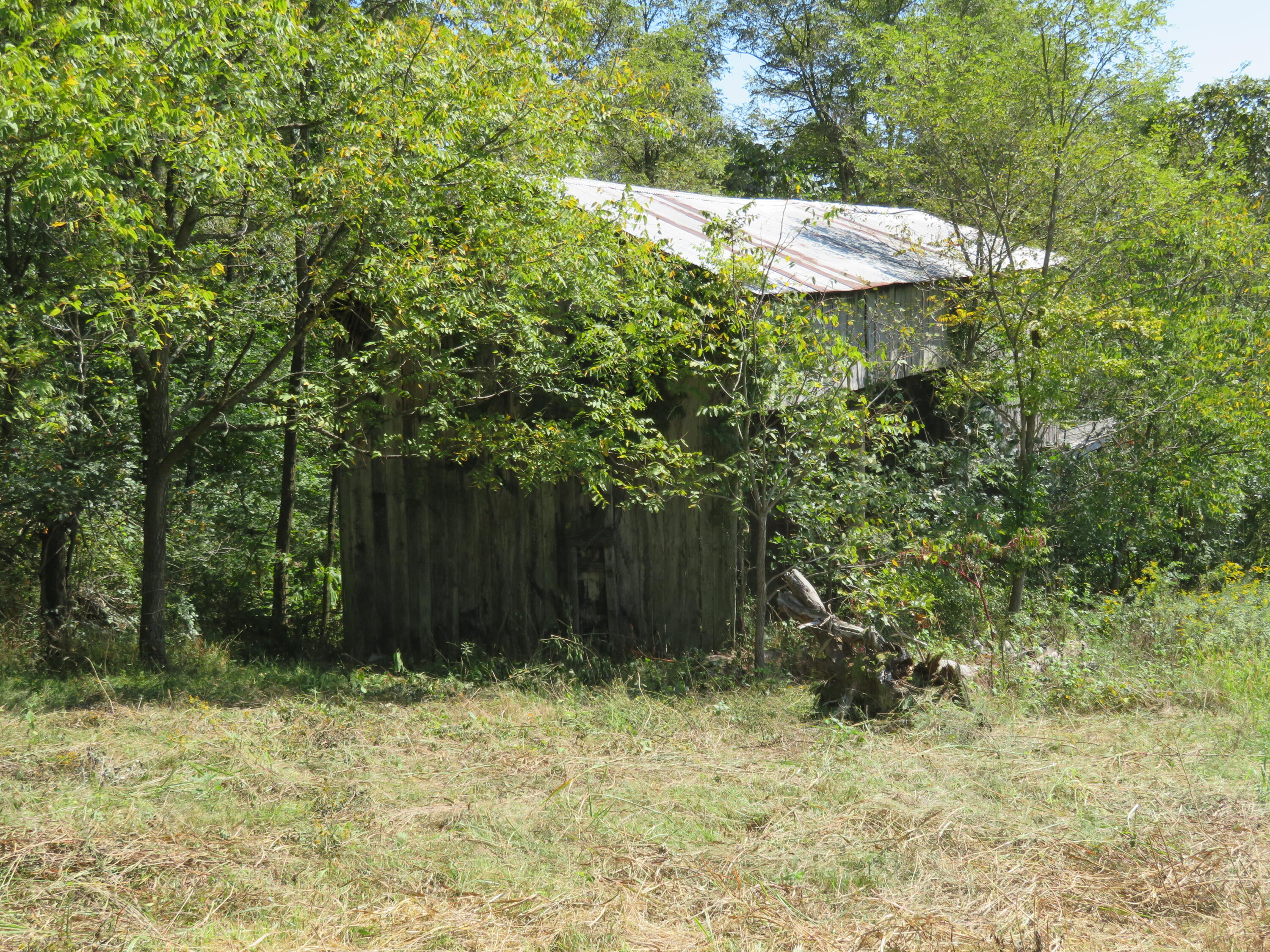 620 Lillies Ferry Road Winchester, KY 40391 - Photo 11 of 18 IMG_3014