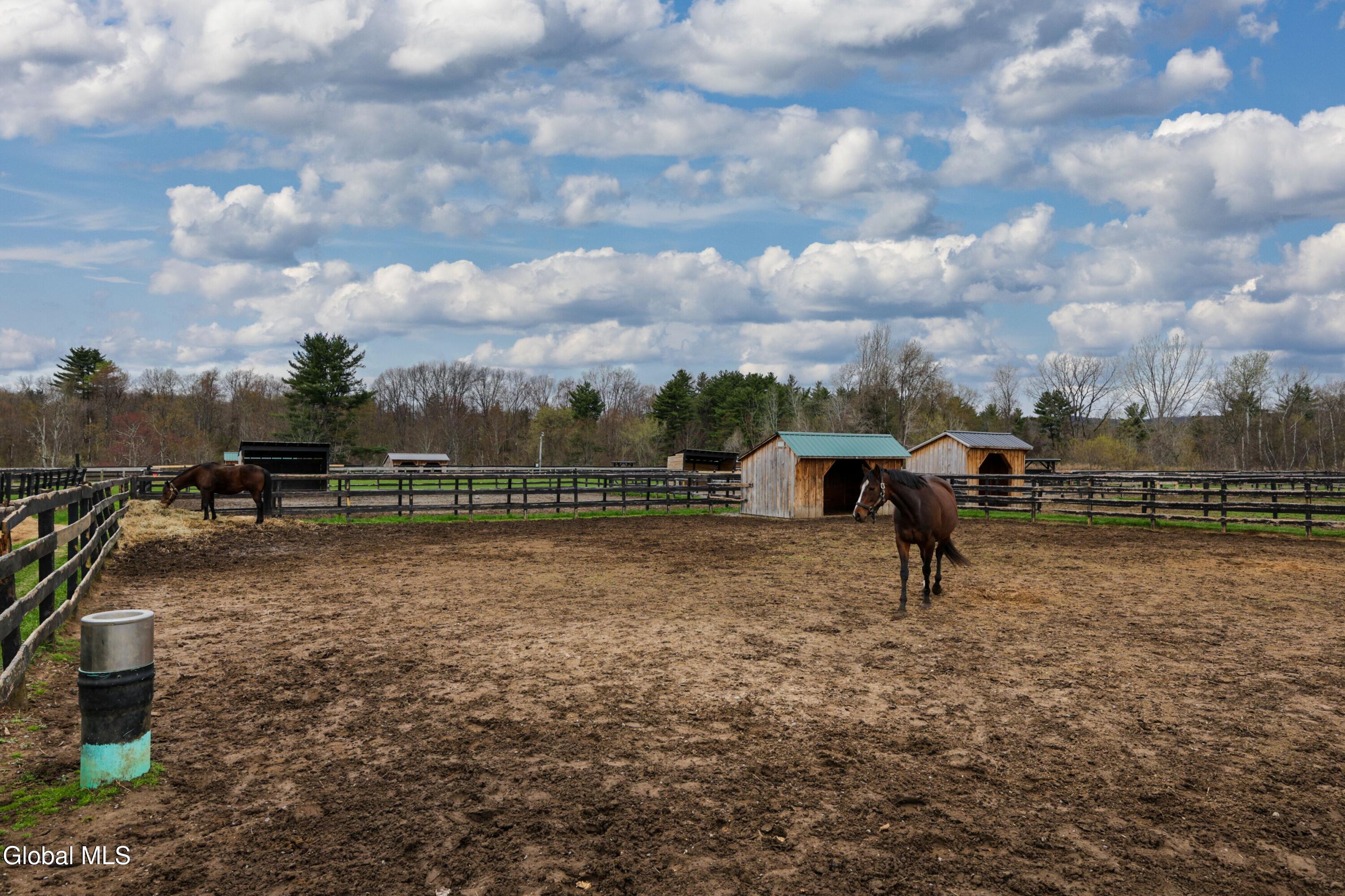 350 Gurn Springs Road Wilton, NY 12831 - Photo 47 of 49 1 (56)