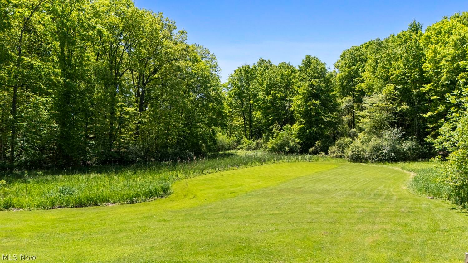 7399 Pettibone Road Chagrin Falls, OH 44023 - Photo 47 of 49 Yard