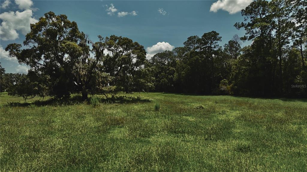 4802 Northwest 50th Road Starke, FL 32091 - Photo 40 of 75 Gallery Image 40