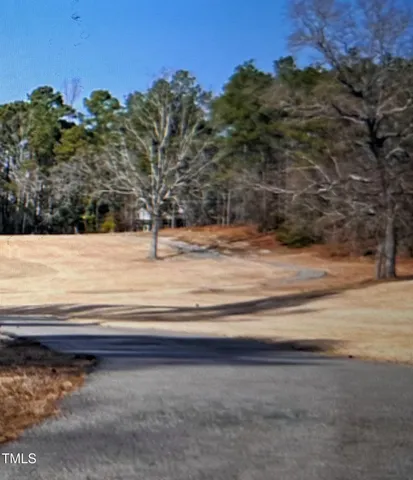 a view of backyard and trees