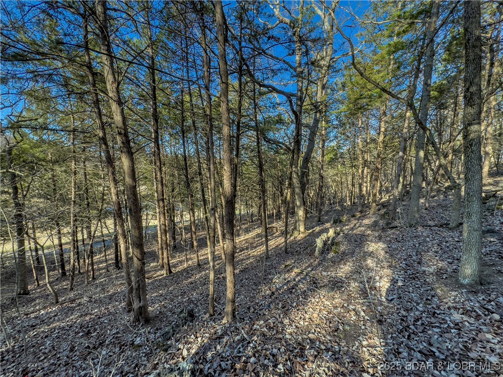 Lot 26 Country Ridge Drive Camdenton, MO 65020 - Photo 11 of 31