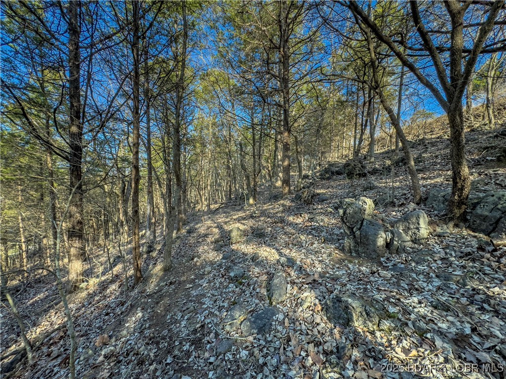 Lot 26 Country Ridge Drive Camdenton, MO 65020 - Photo 12 of 31