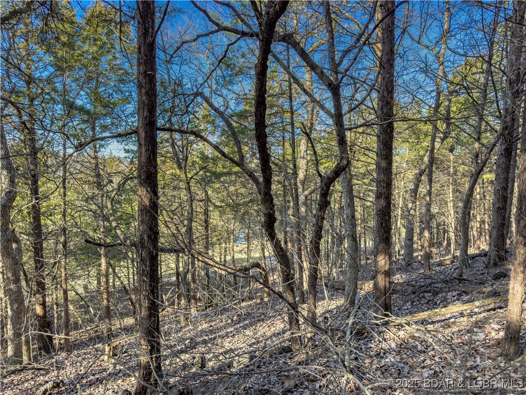 Lot 26 Country Ridge Drive Camdenton, MO 65020 - Photo 13 of 31