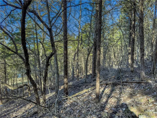 $49,000 | Lot 26 Country Ridge Drive, Camdenton, MO 65020