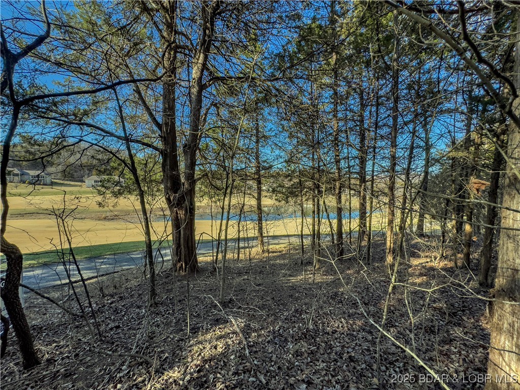 Lot 26 Country Ridge Drive Camdenton, MO 65020 - Photo 4 of 31