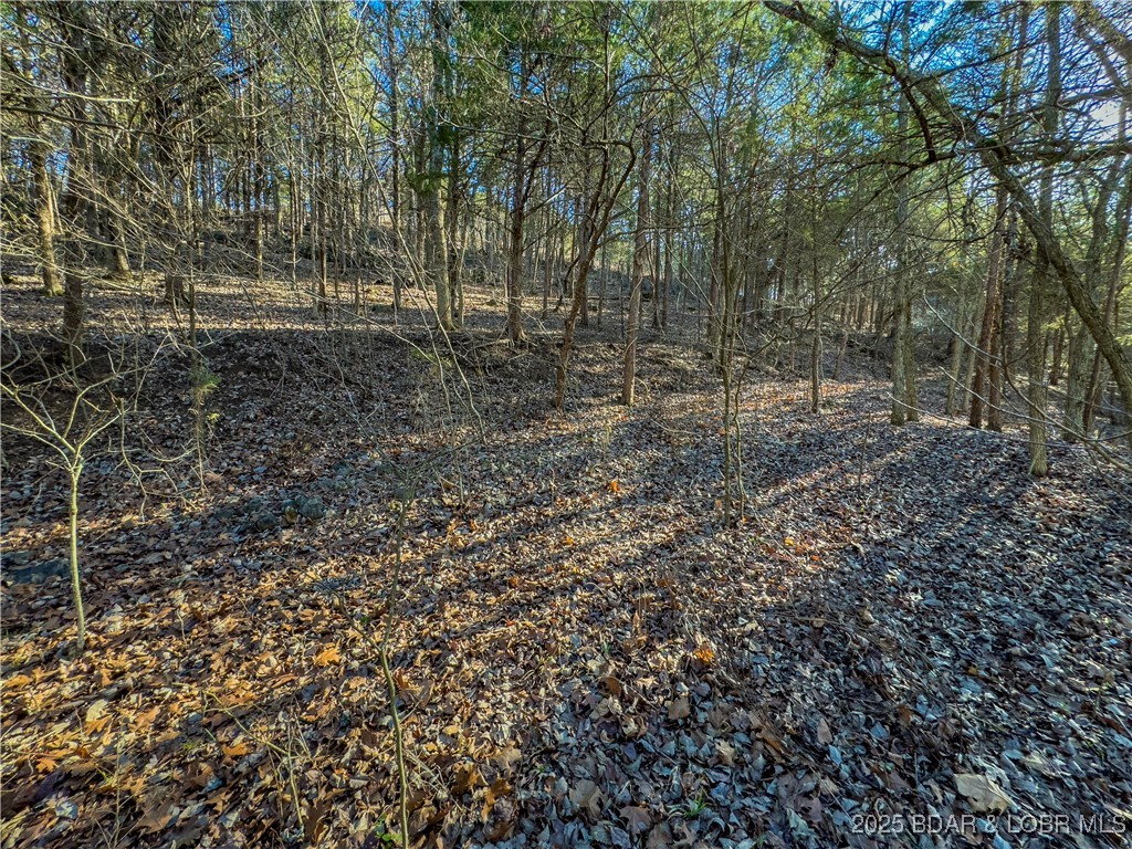 Lot 26 Country Ridge Drive Camdenton, MO 65020 - Photo 5 of 31