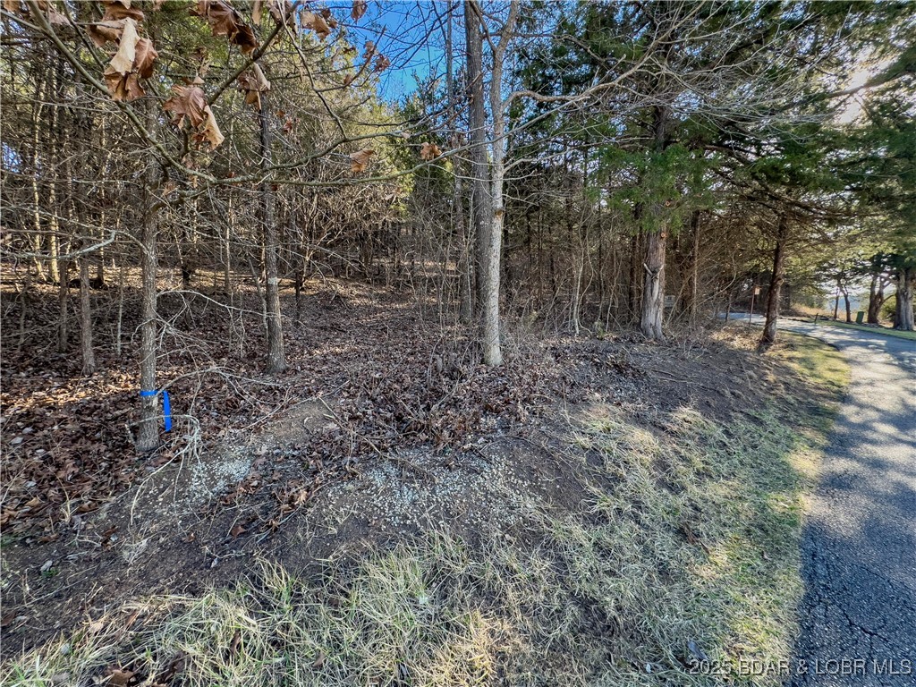 Lot 26 Country Ridge Drive Camdenton, MO 65020 - Photo 6 of 31