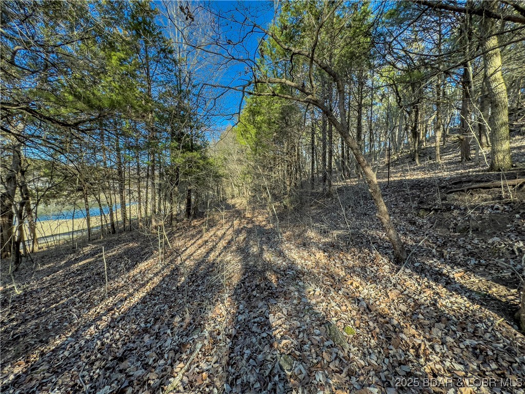Lot 26 Country Ridge Drive Camdenton, MO 65020 - Photo 7 of 31