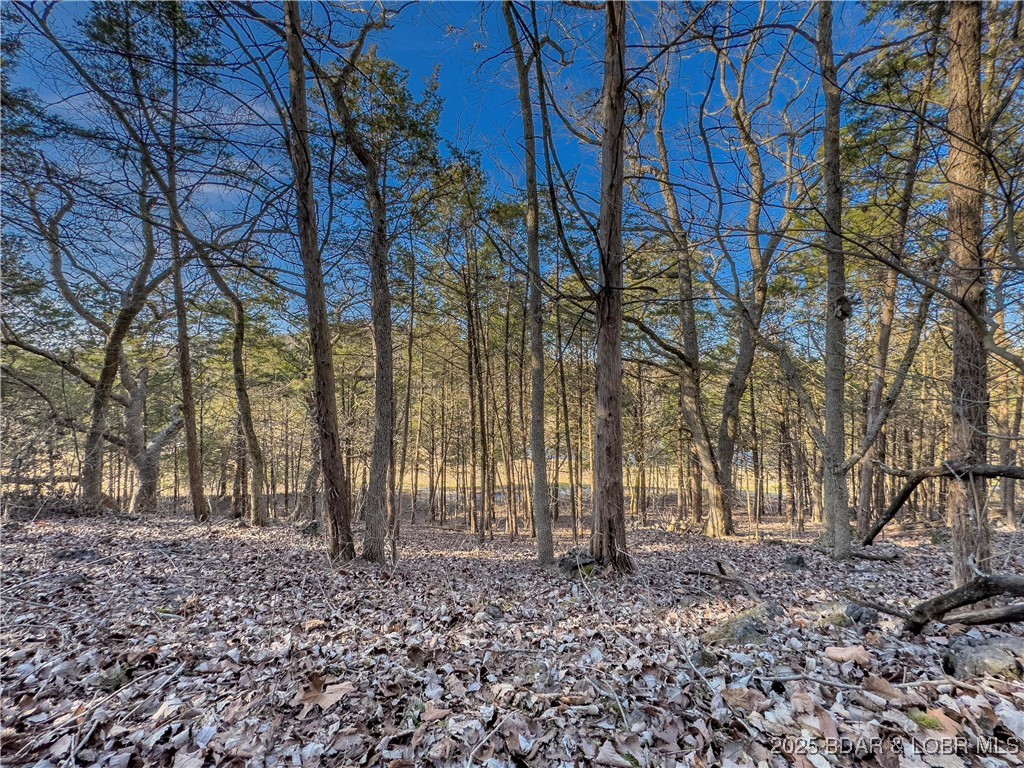 Lot 26 Country Ridge Drive Camdenton, MO 65020 - Photo 8 of 31
