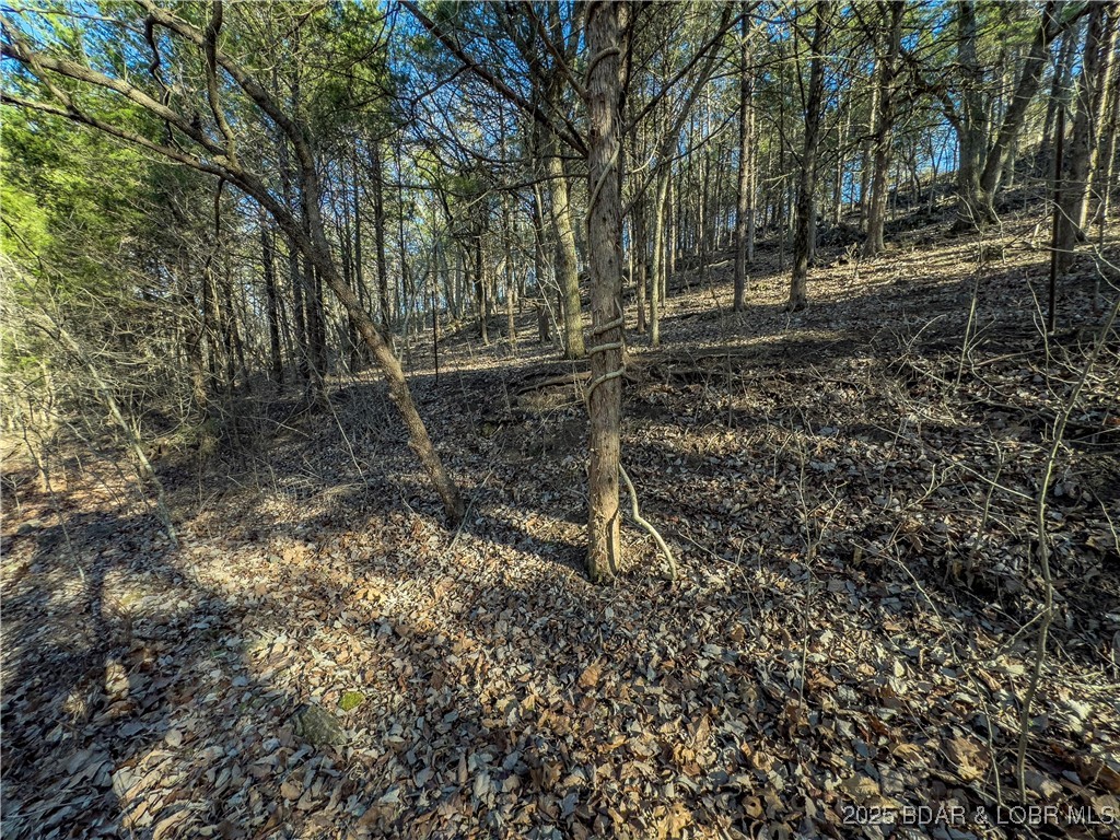 Lot 26 Country Ridge Drive Camdenton, MO 65020 - Photo 10 of 31
