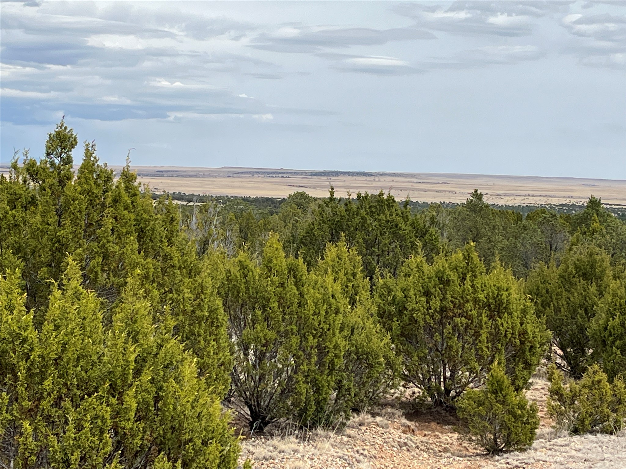 36 Blue Sky Road Las Vegas, NM 87701 - Photo 5 of 48 Expansive grasslands & neighboring wildlife refuge border the Charles R Ranch.