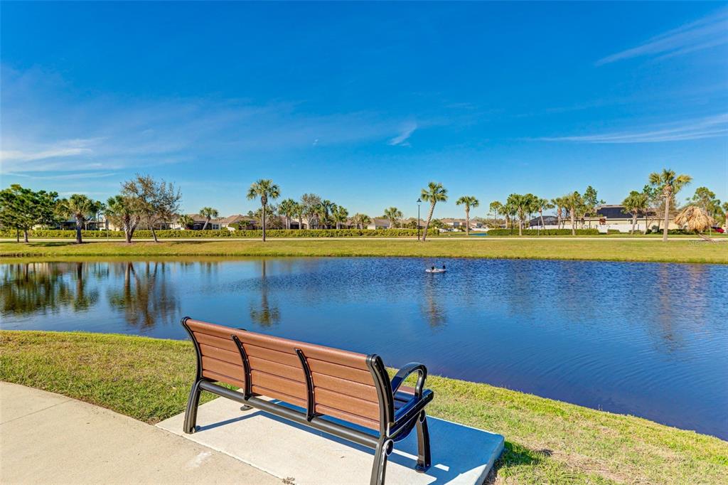 15313 Trinity Fall Way Bradenton, FL 34212 - Photo 37 of 41