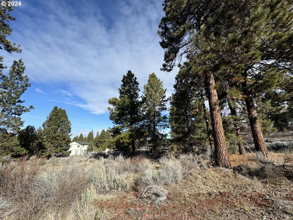 Shoshoni Way Chiloquin, OR 97624 - Photo 1 of 47