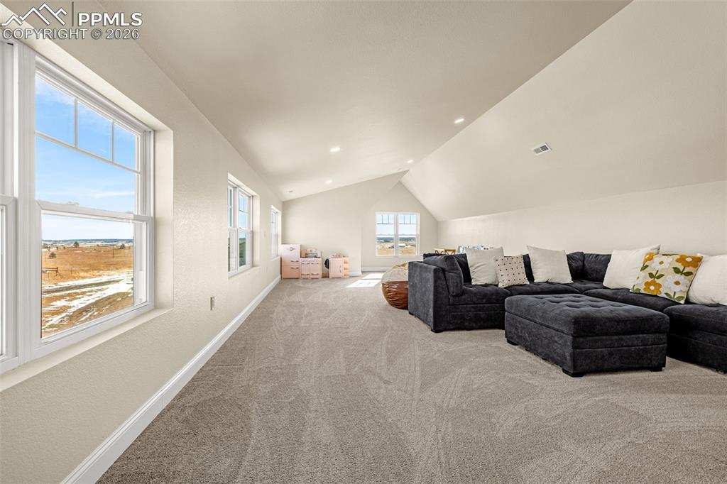 16860 Thompson Road Colorado Springs, CO 80908 - Photo 24 of 50