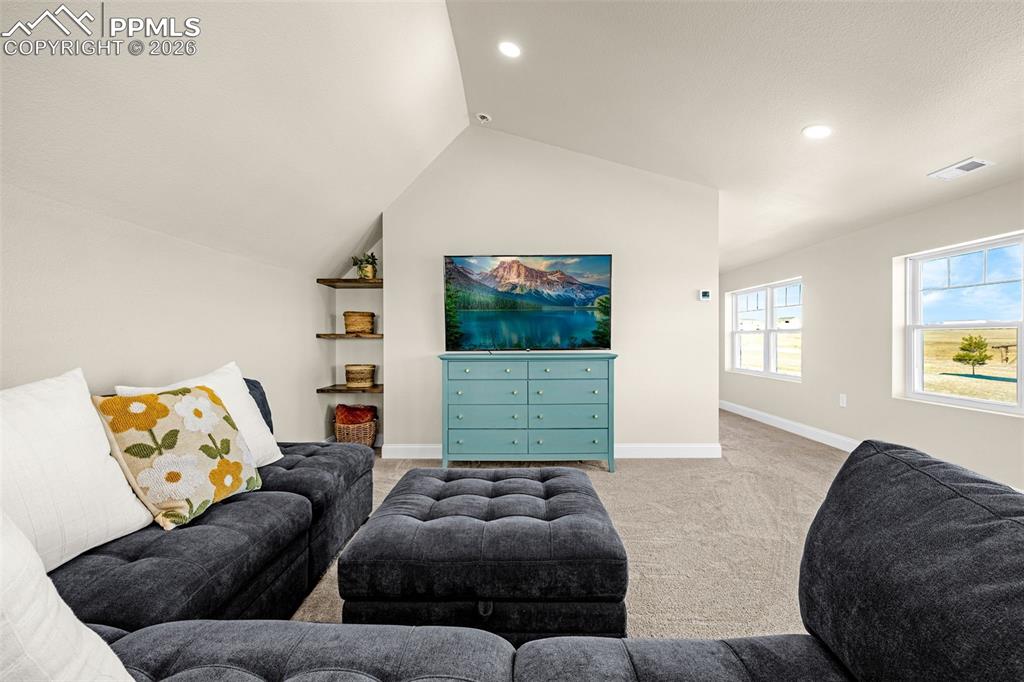 16860 Thompson Road Colorado Springs, CO 80908 - Photo 25 of 50