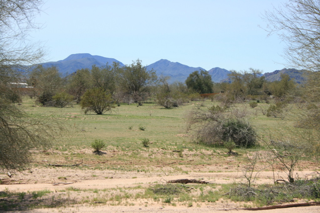 0 West Century Road, Unit 12 Maricopa, AZ 85139 - Photo 1 of 3 p1