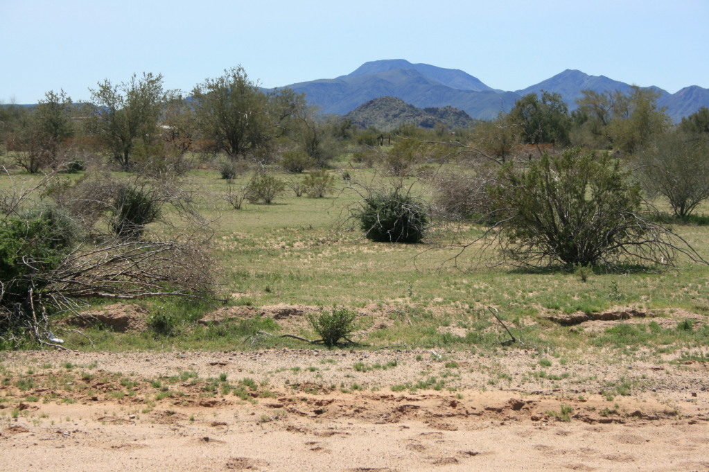 0 West Century Road, Unit 12 Maricopa, AZ 85139 - Photo 2 of 3 p2