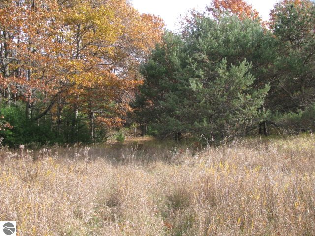 5149 Clark Road Harrisville, MI 48740 - Photo 28 of 34 1777935-27.JPG