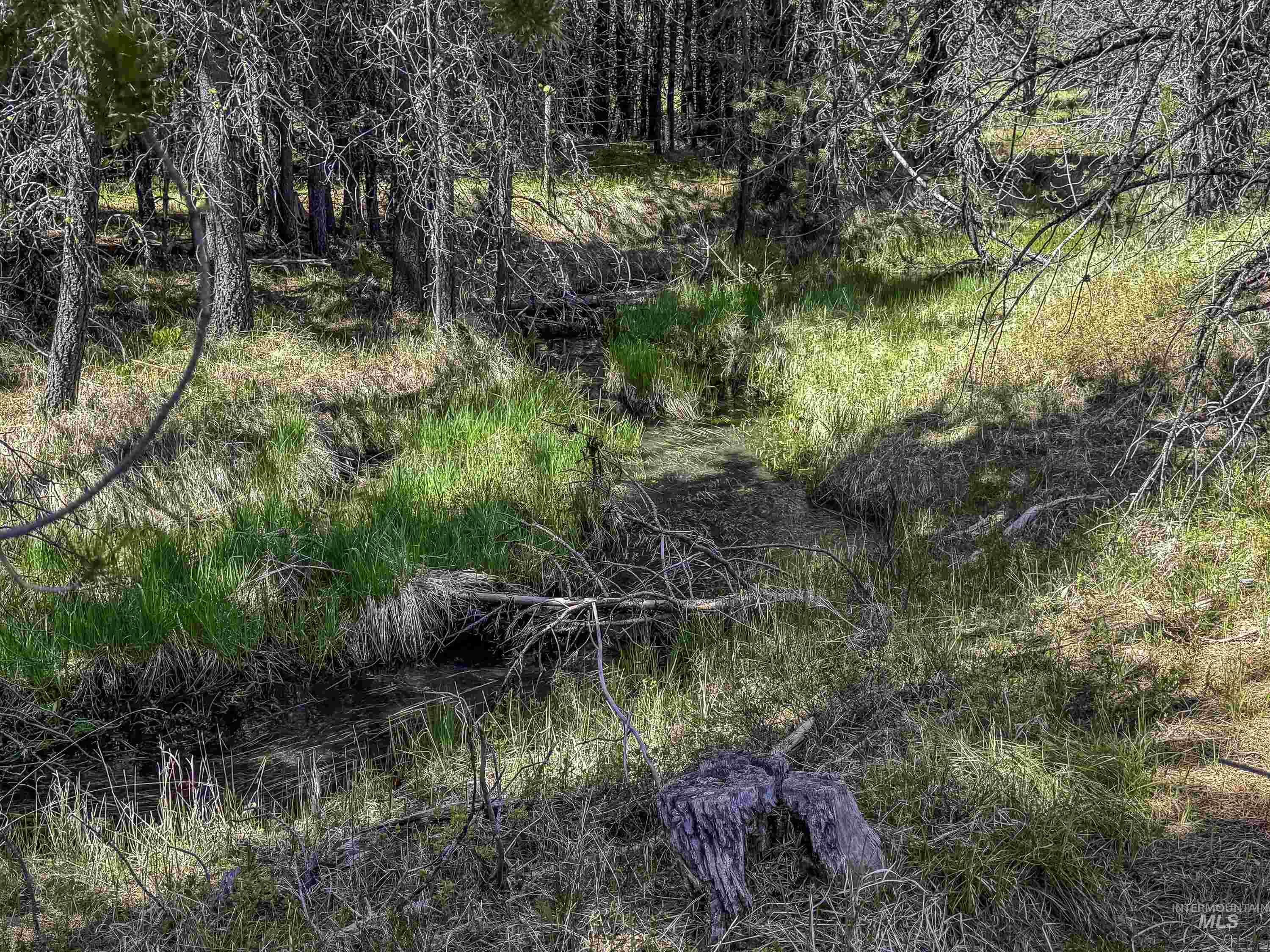 Tbd Deer Creek Road Winchester, ID 83555 - Photo 25 of 39