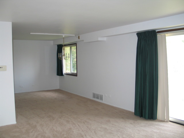 1114 Springinsguth Road, Unit 2D Schaumburg, IL 60193 - Photo 3 of 9