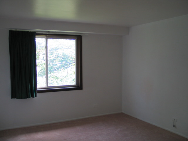 1114 Springinsguth Road, Unit 2D Schaumburg, IL 60193 - Photo 6 of 9