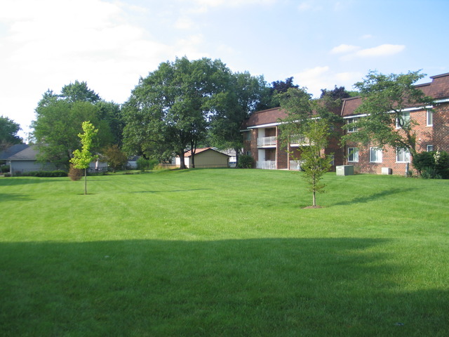 1114 Springinsguth Road, Unit 2D Schaumburg, IL 60193 - Photo 8 of 9