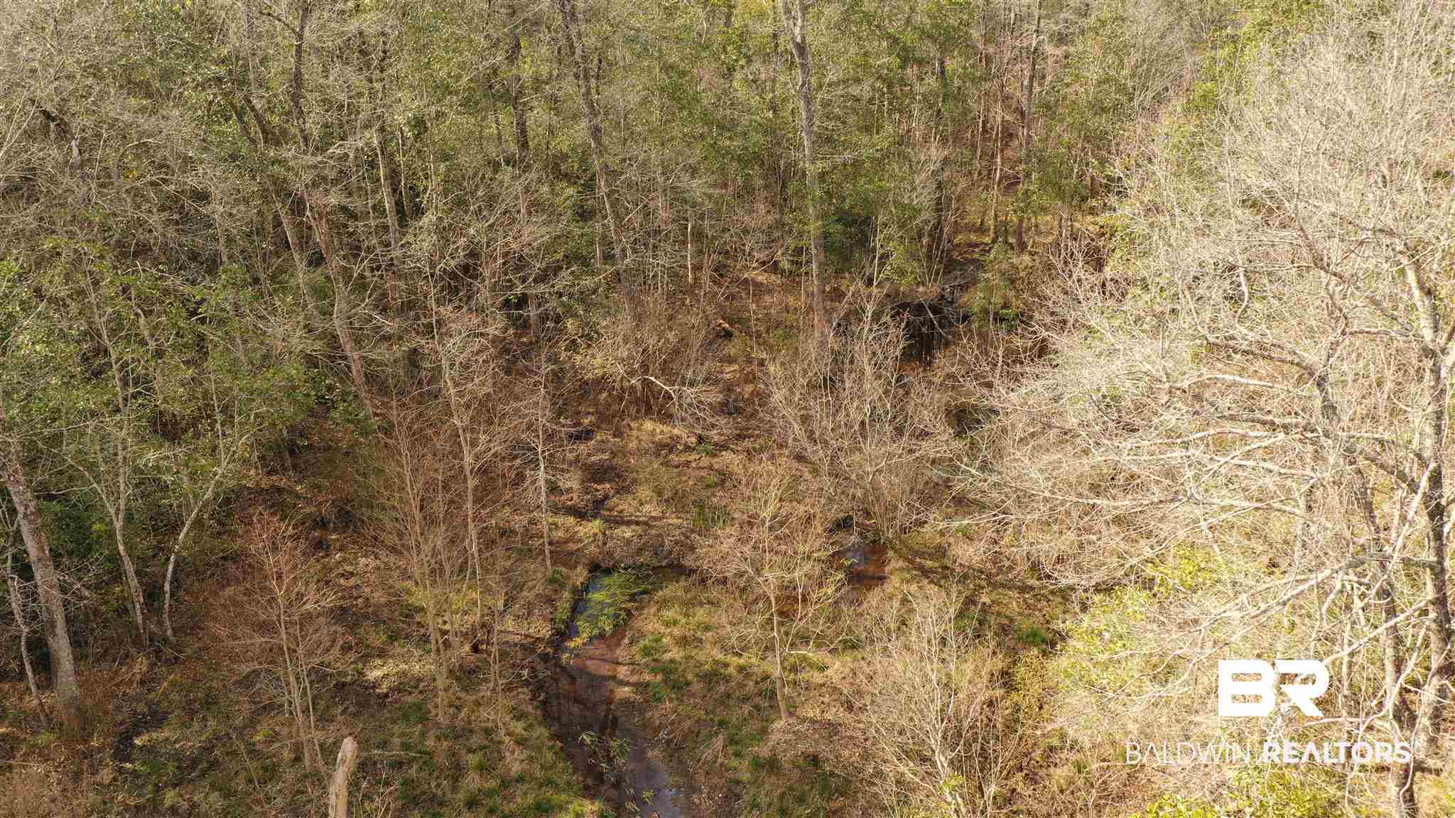 1 North Pine Barren Road Century, FL 32535 - Photo 9 of 25