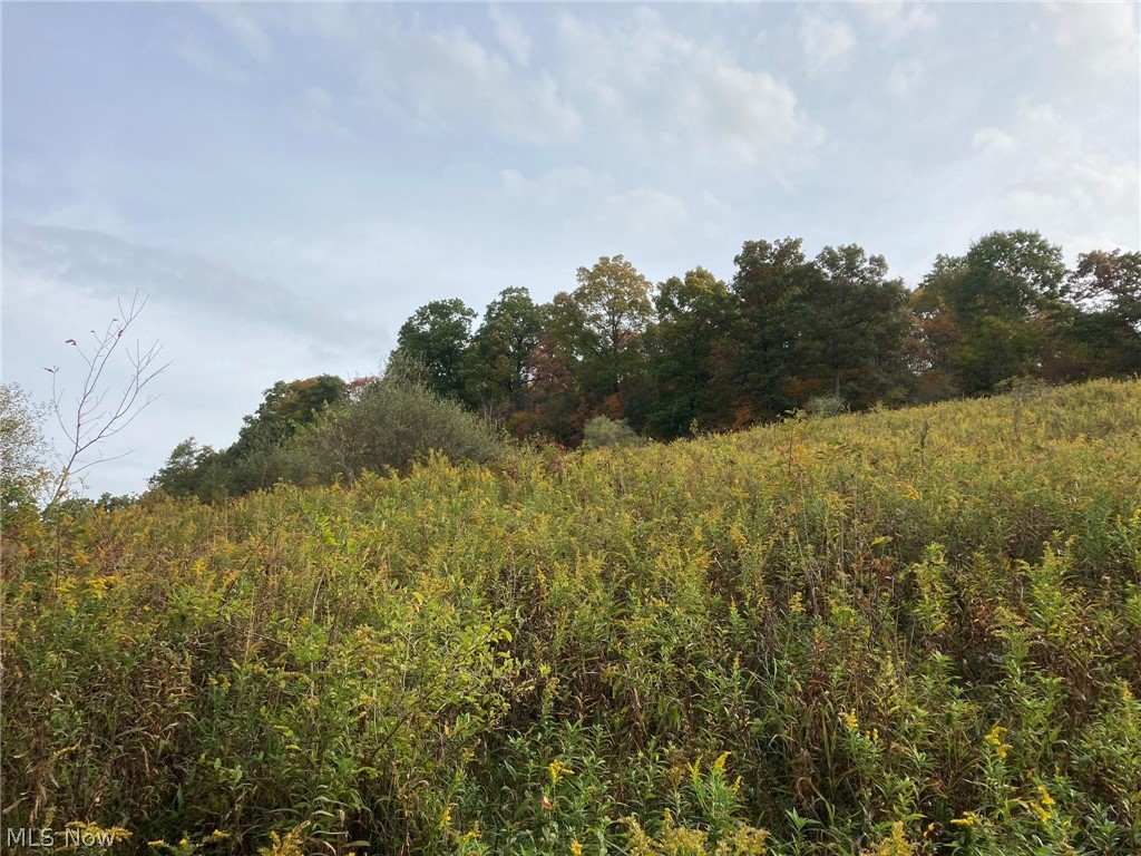 Tinney Road Dennison, OH 44621 - Photo 11 of 27
