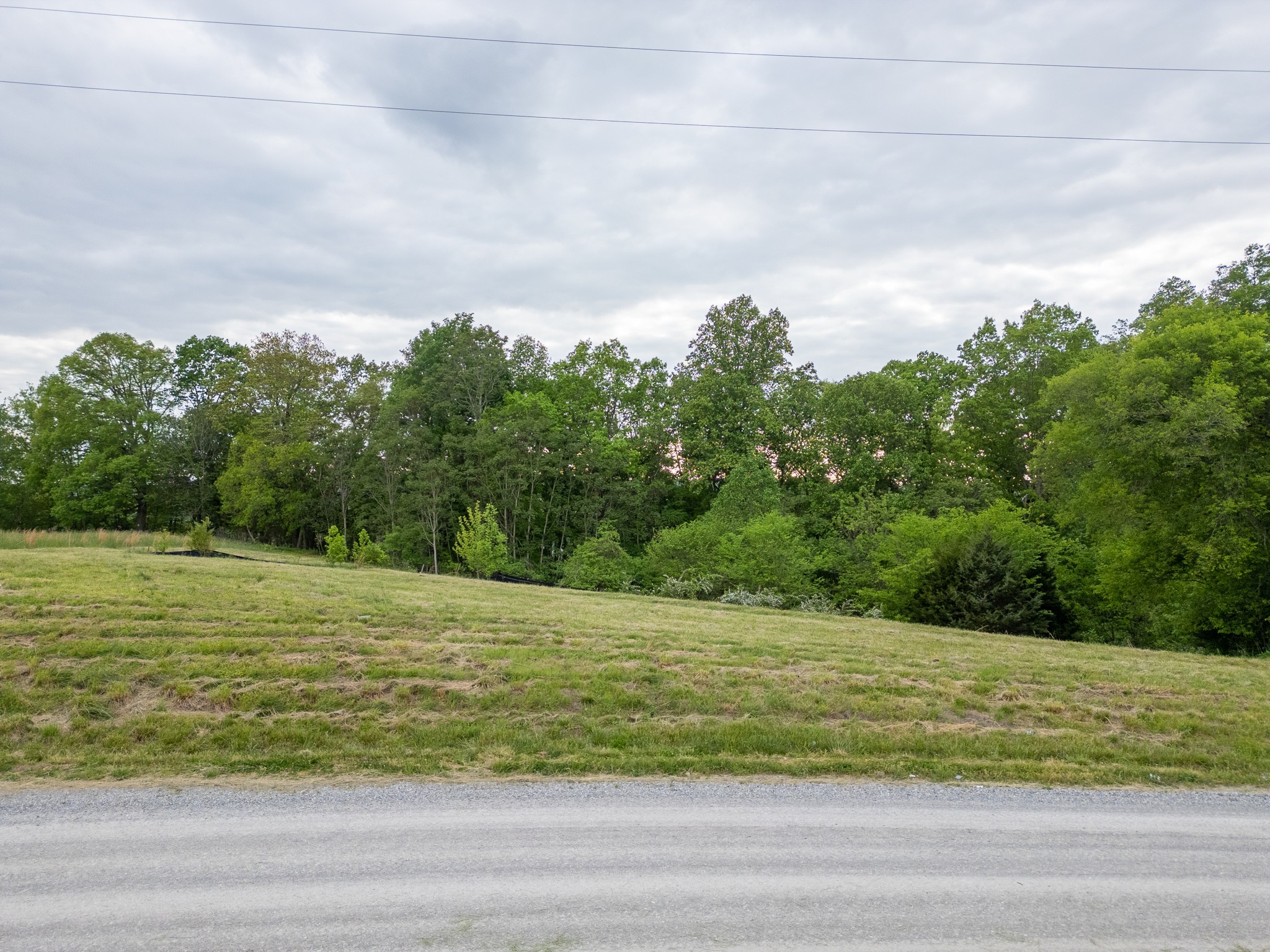 0 Lake Bluff Baxter, TN 38544 - Photo 21 of 23 a view of a yard with an trees
