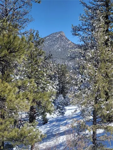 $450,000 | 17016 Icehouse Court, Pine, CO 80470