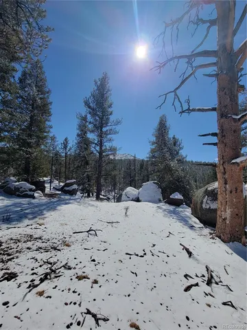 $450,000 | 17016 Icehouse Court, Pine, CO 80470