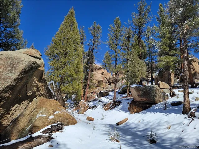 $450,000 | 17016 Icehouse Court, Pine, CO 80470